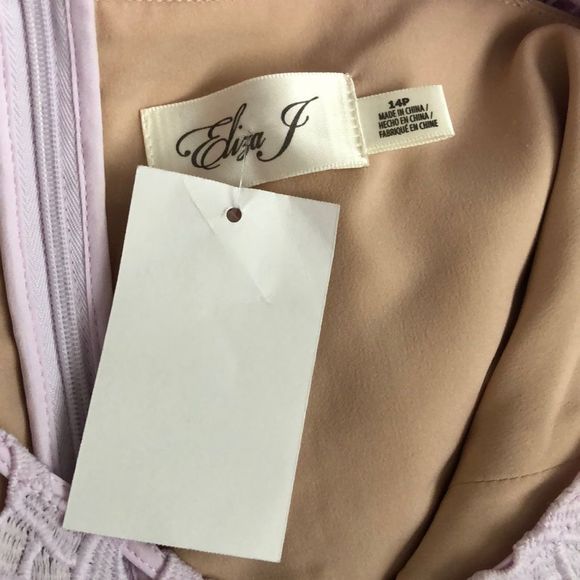 Eliza J Cap Sleeve Lilac Lace Overlay Sheath Dress NWT size 14P - Picture 5 of 8